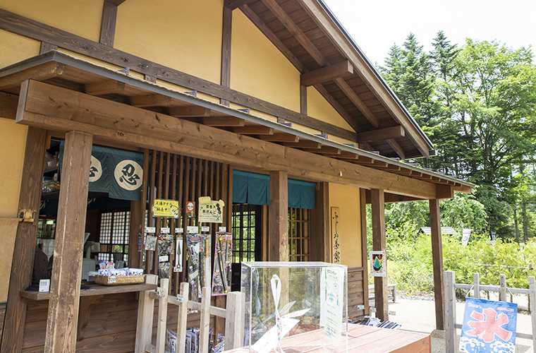 忍野しのびの里 ふじみ茶寮