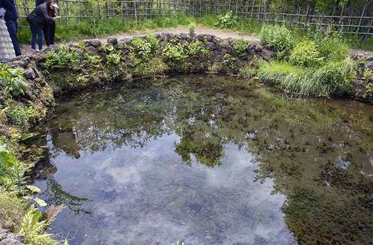 忍野八海 銚子池