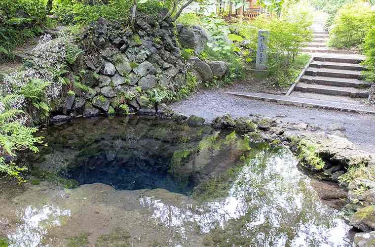 忍野八海 お釜池