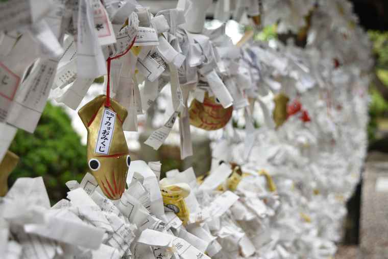 湯の川温泉 湯倉神社の「イカすおみくじ」