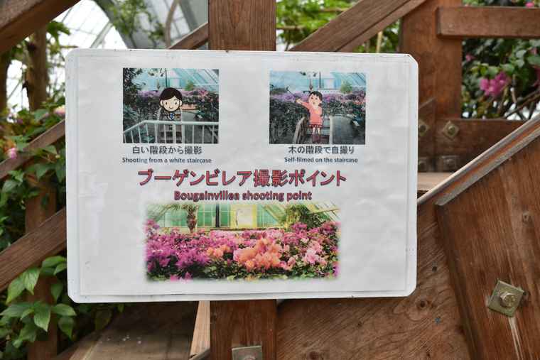 湯の川温泉 函館市熱帯植物園