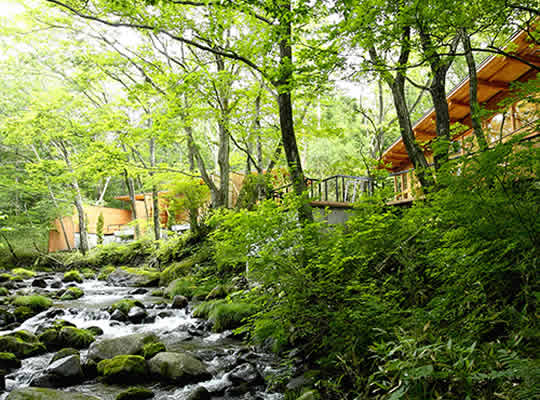 「蔵王の森」がつくる美と健康の温泉宿 ゆと森倶楽部