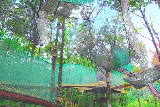 森の空中あそび parcabout(パカブ)