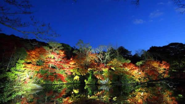 武雄温泉の逆さ紅葉が幻想的! 佐賀県
