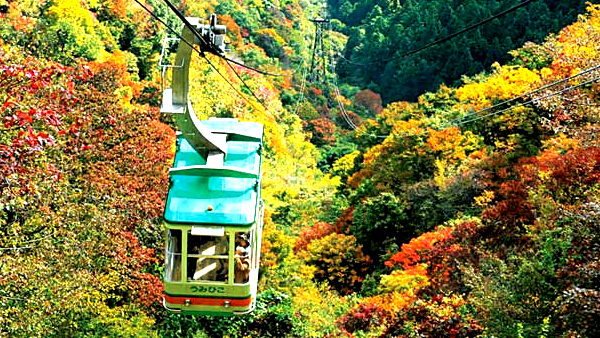 食×紅葉の満喫旅行に注目!新潟県