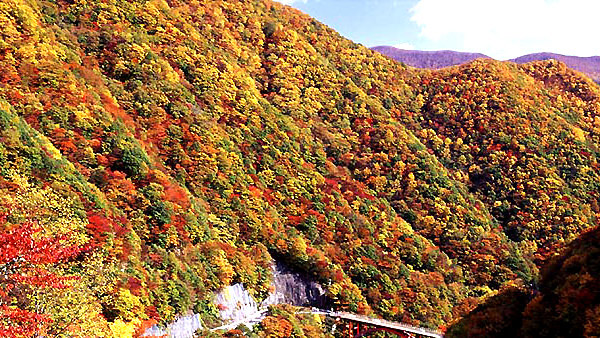 紅葉ドライブがおすすめ!岩手県