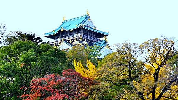 都会でも紅葉が楽しめちゃう!大阪府