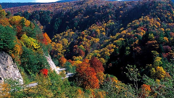 ドライブ!温泉地!紅葉など見所満載、山形県