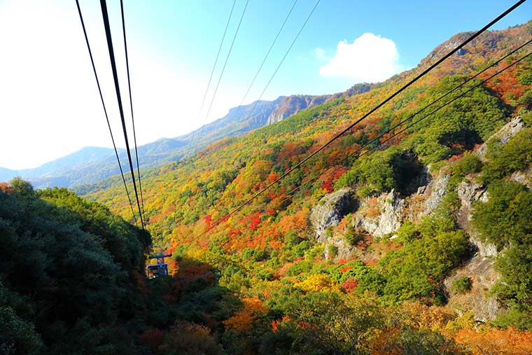 香川県 国立公園 小豆島 寒霞渓