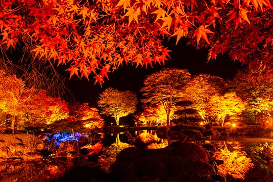 群馬県 桜山公園