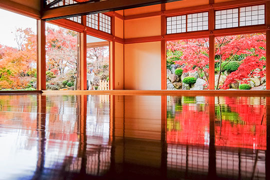 群馬県 宝徳寺 床紅葉