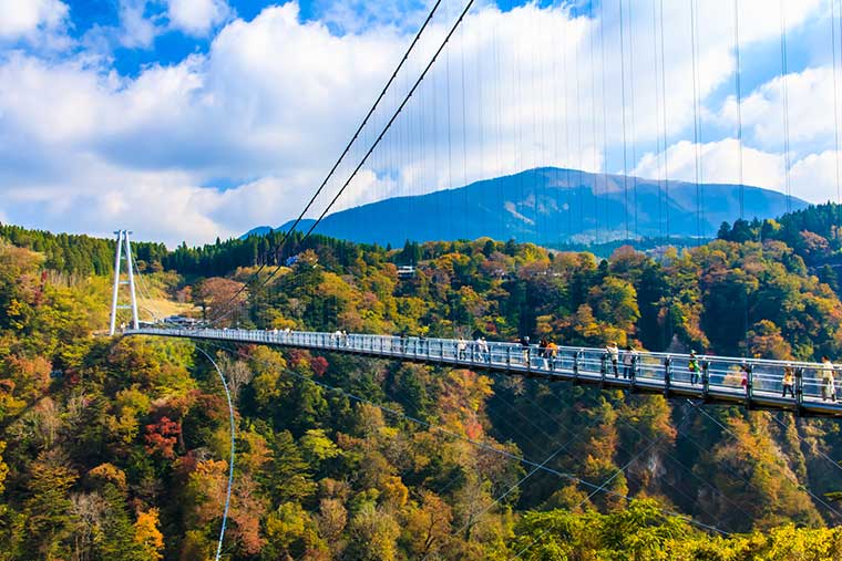 大分県 九重“夢”大吊橋
