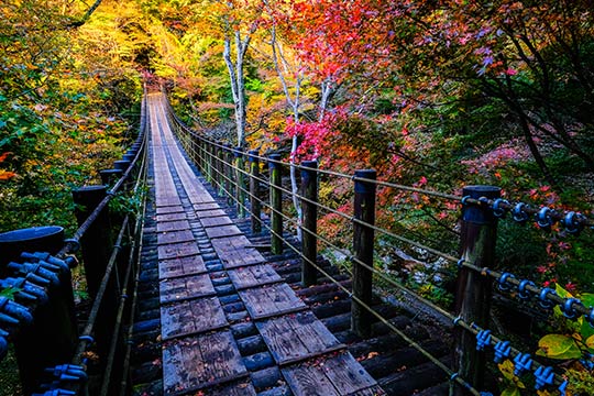茨城県 花貫渓谷 汐見滝吊橋