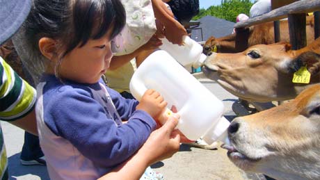 赤ちゃん連れに人気の温泉地ランキング 楽天トラベル