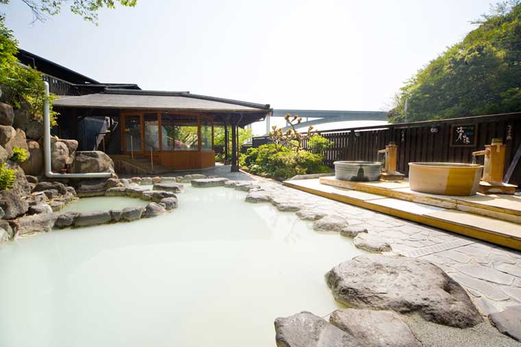 別府明礬温泉 御宿 ゑびす屋<大分県>