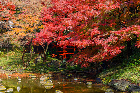 小石川後楽園