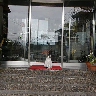 チョロ松