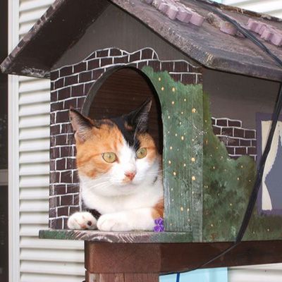 花子