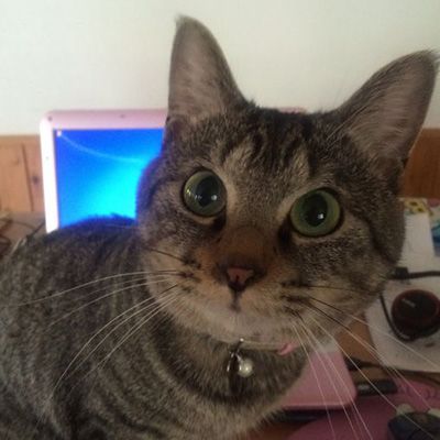 せら