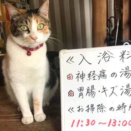すずめ