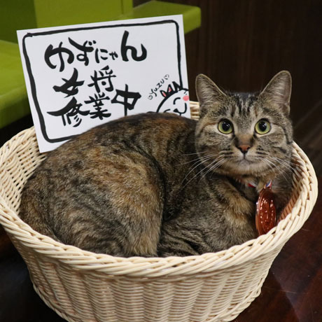 ゆず