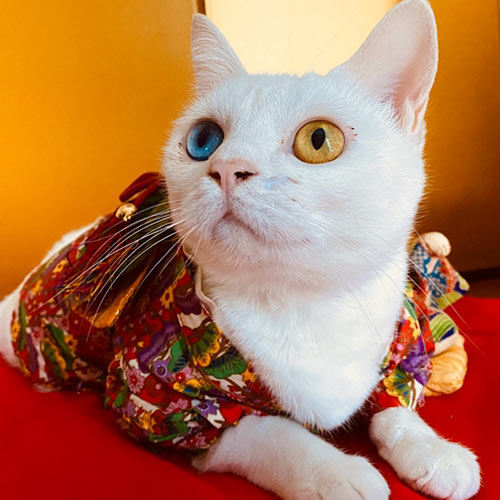 福