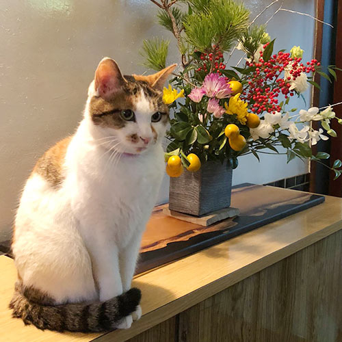なな