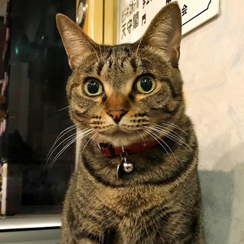 ちーちゃん