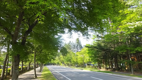 軽井沢・佐久・小諸