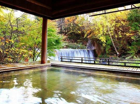かやぶきの郷 薬師温泉旅籠