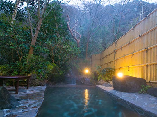 厚木飯山温泉 元湯旅館