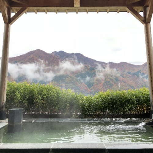越後湯沢温泉 水が織りなす越後の宿 双葉