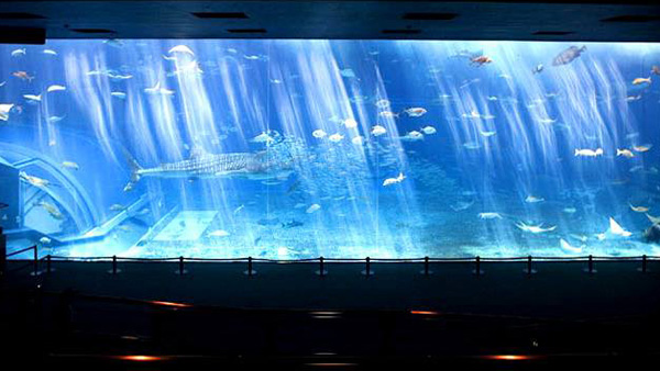沖縄美ら海水族館(沖縄県)