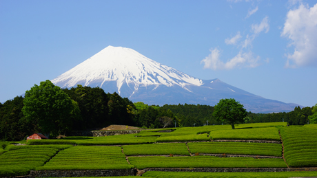 静岡県