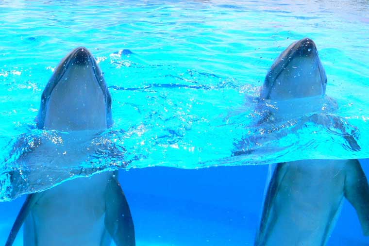海ノ中道マリンワールド