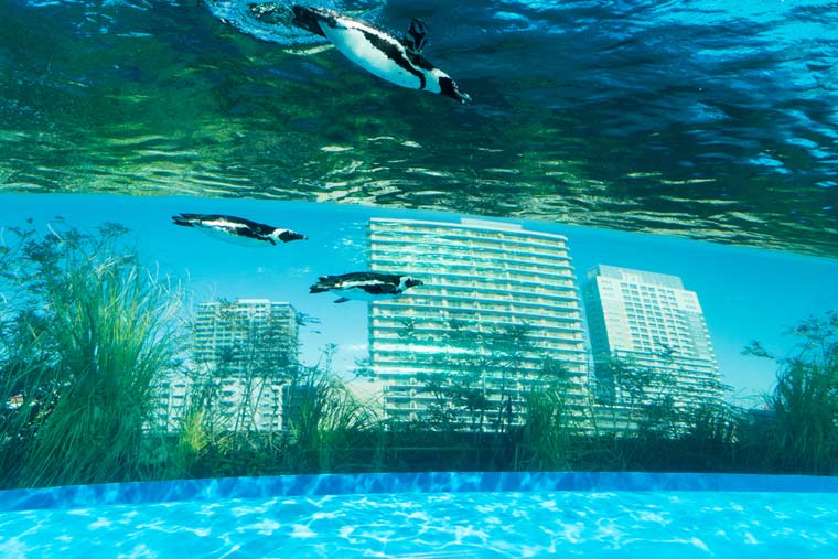 池袋サンシャイン水族館
