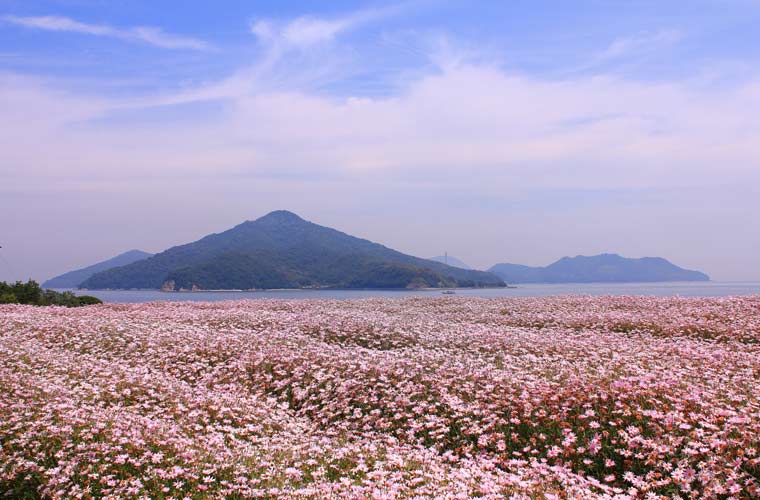 香川県 フラワーパーク浦島