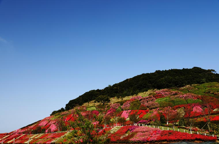 長崎県 不老山