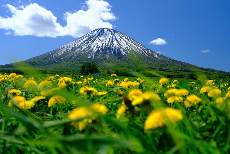 羊蹄山