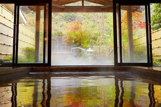 箱根湯本温泉 ホテルはつはな