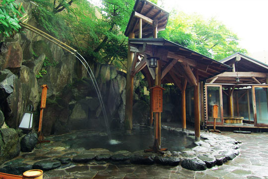 箱根湯本温泉 箱根 花紋