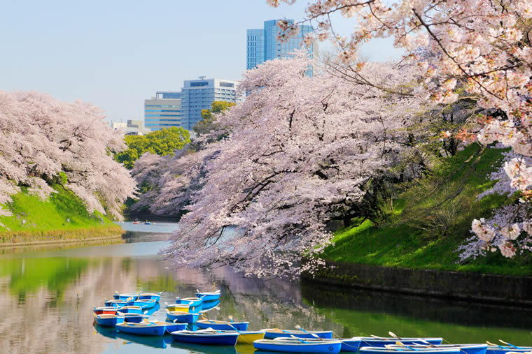 千鳥ヶ淵公園