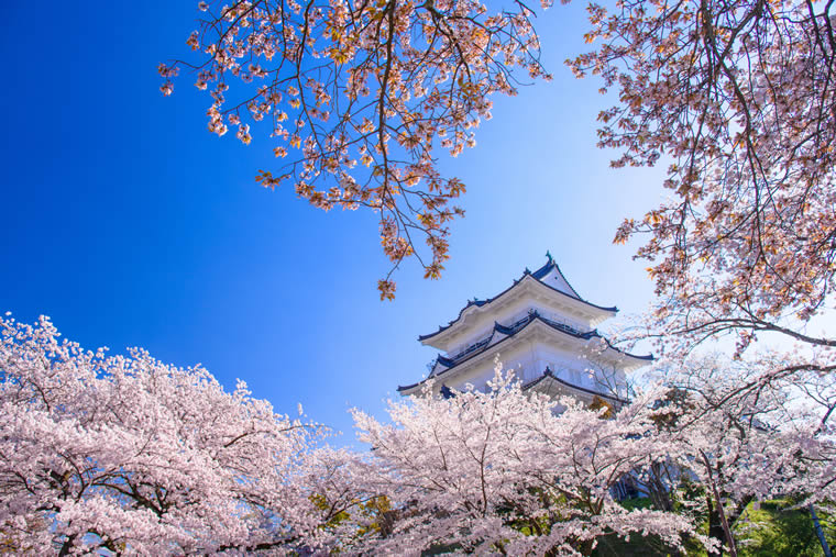 小田原城址公園