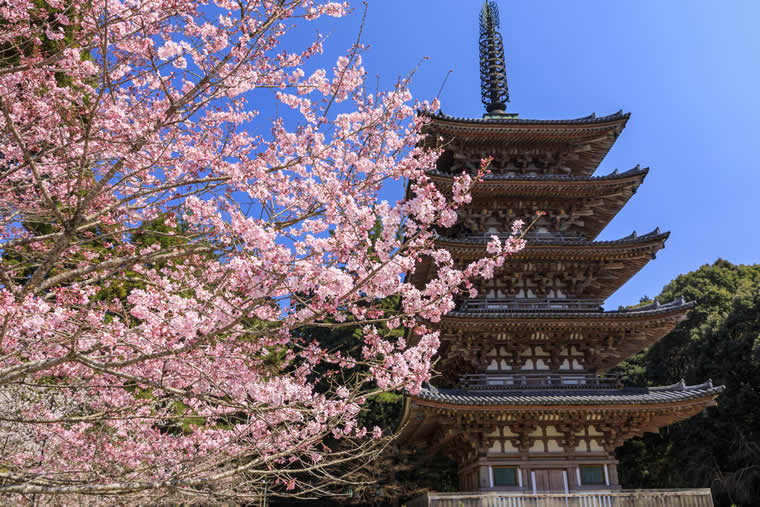 醍醐寺