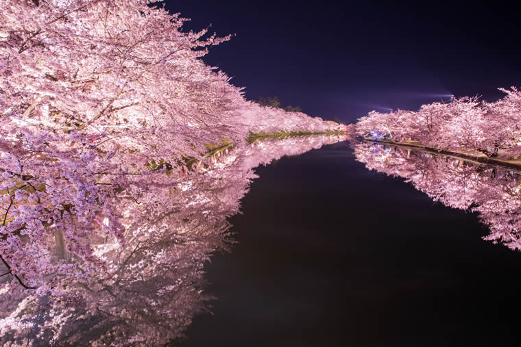 弘前公園