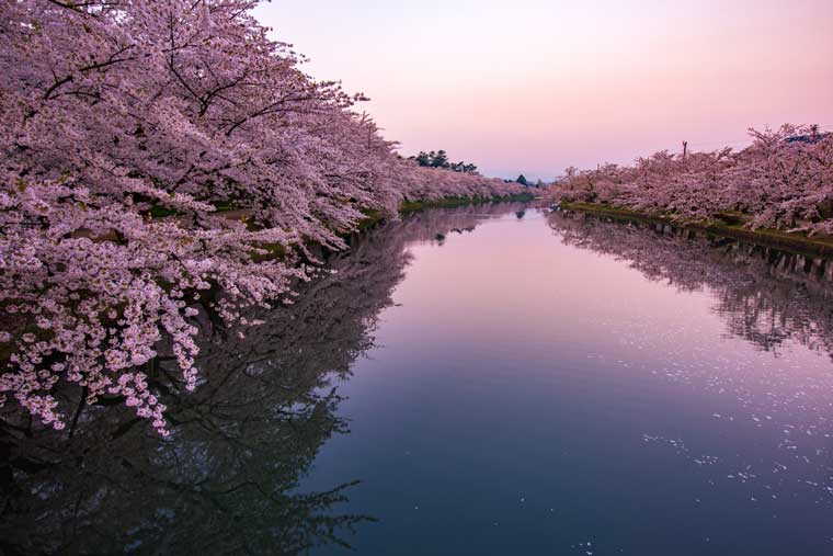 弘前公園