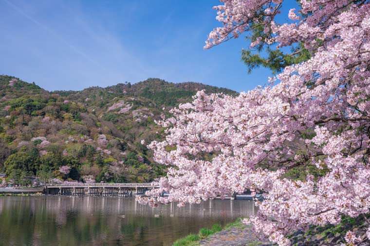 嵐山