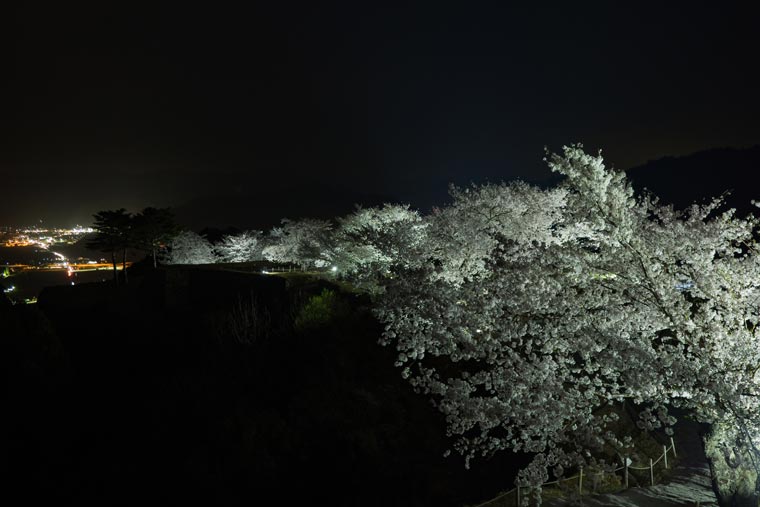 竹田城跡