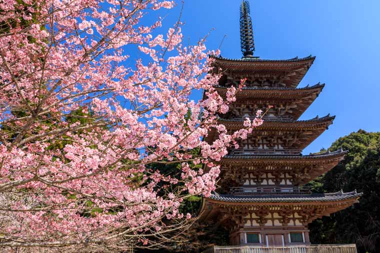醍醐寺