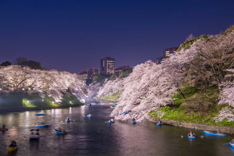 千鳥ヶ淵